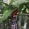 jessrose129
